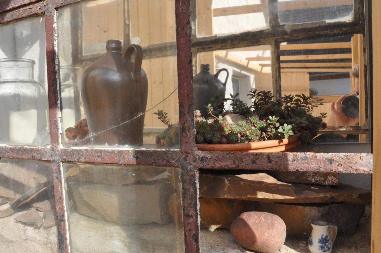 Dornburg  Pension "Seeblick" Am Stelzenhaus מראה חיצוני תמונה